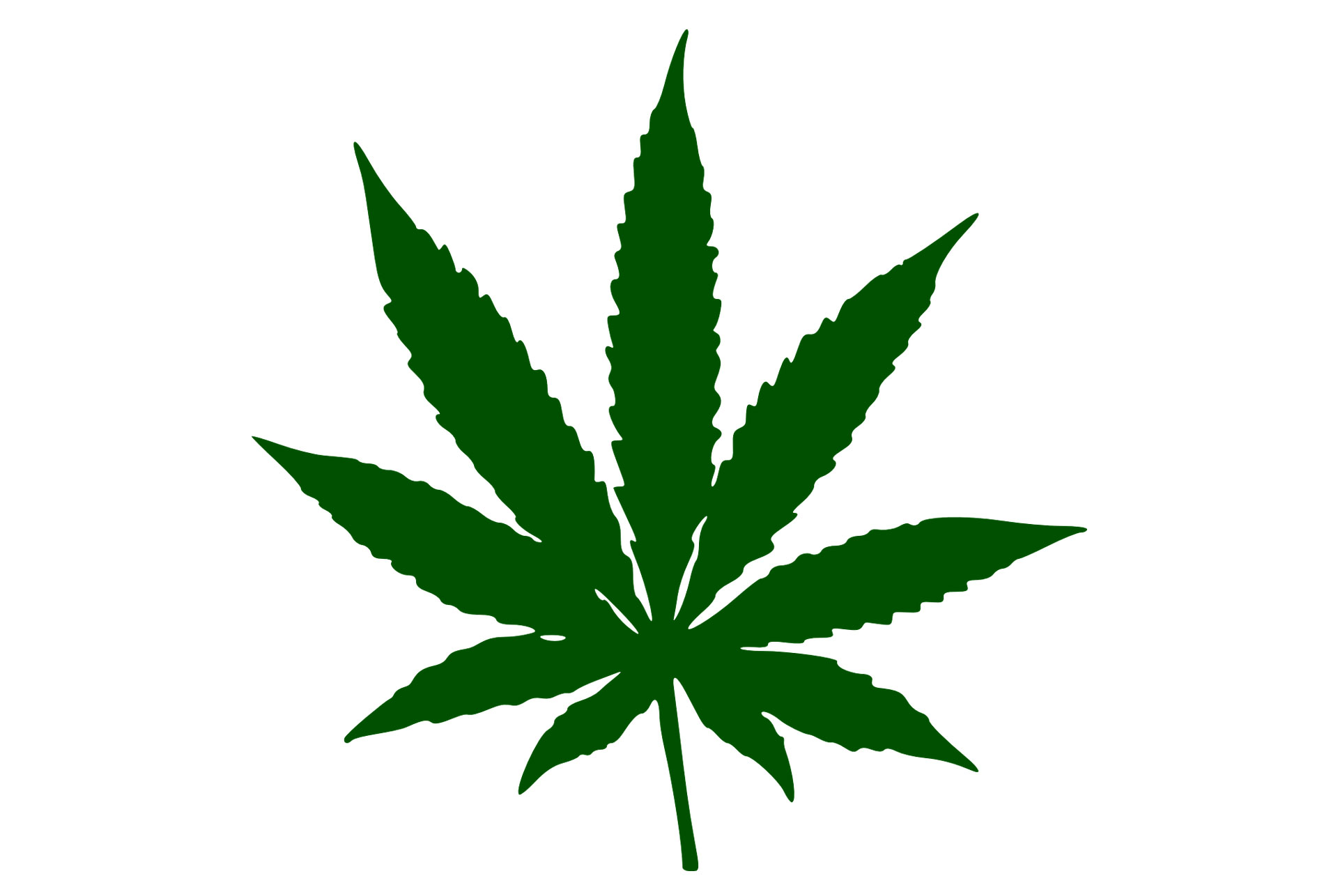 Grünes Cannabisblatt für Beitrag Gründung eines Cannabis-Clubs (Foto: pixabay)