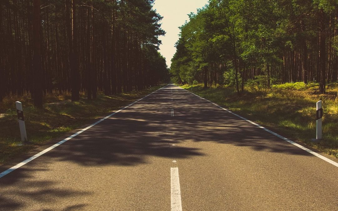 gerade Straße führt an Bäumen vorbei