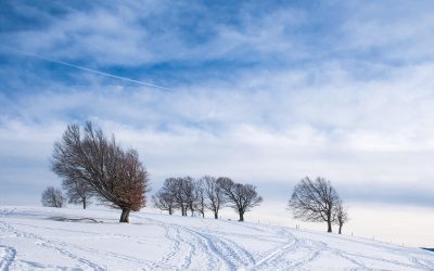 Kälte am Arbeitsplatz: Rechte und Pflichten